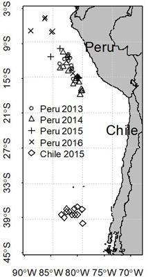Ontogenetic and Spatiotemporal Changes in Isotopic Niche of Jumbo Squid (Dosidicus gigas) in the Southeastern Pacific